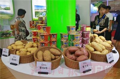 金视界丨第二十一届中国农产品加工业投资贸易洽谈会开幕 3万客商齐聚驻马店